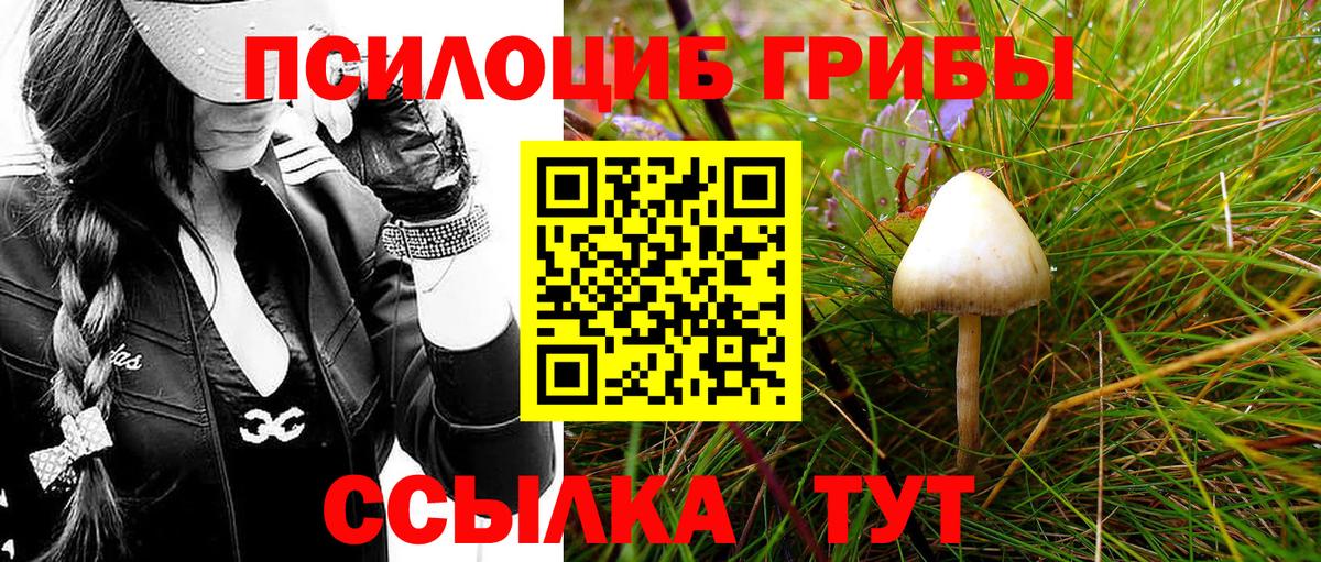 Галлюциногенные грибы мицелий Курган